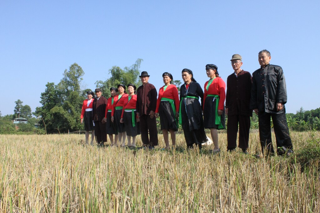 Die San Diu-Leute in der Gemeinde Binh Dan singen nach der Ernte Soong Co auf dem Feld.