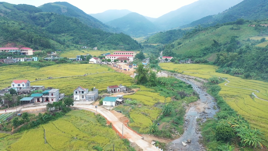 Golden season in Dai Duc village.