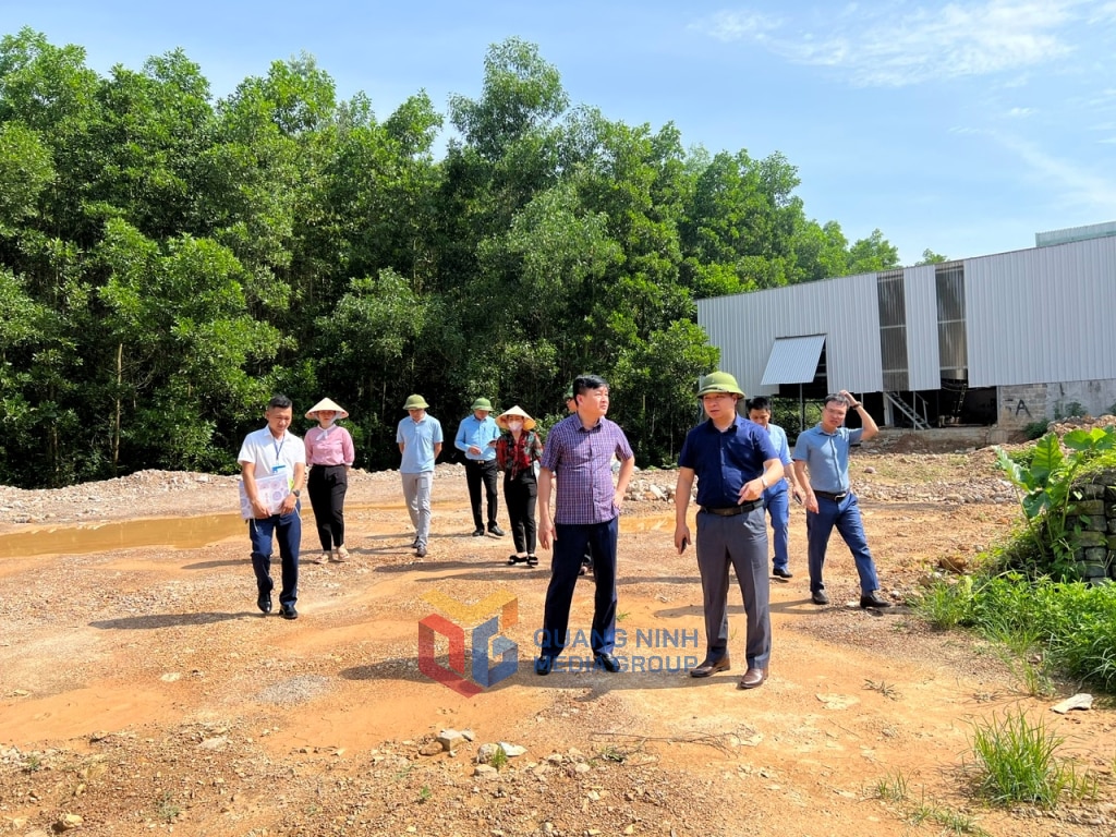 La delegación de inspección del Comité Permanente del Comité del Partido de la ciudad de Ha Long inspeccionó la gestión de la tierra, los recursos y los minerales en el barrio de Ha Khau.