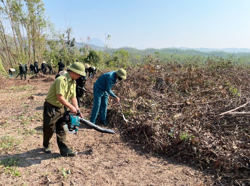 Lực lượng Hạt Kiểm lâm Tiên Yên chủ trì phối hợp các lực lượng tổ chức hỗ trợ người dân vệ sinh rừng sau bão Yagi.