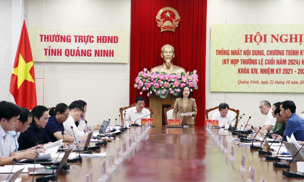 Đồng chí Vi Ngọc Bích, Phó Bí thư Đảng đoàn, Phó Chủ tịch Thường trực HĐND tỉnh chủ trì hội nghị.