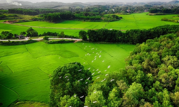 Promover el potencial del ecoturismo y la comunidad