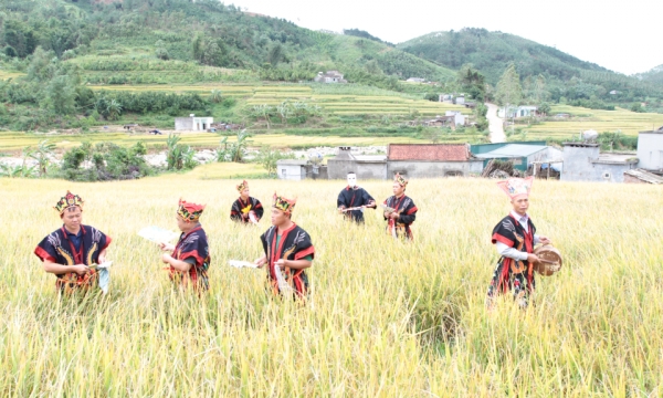 北東村の黄金収穫祭