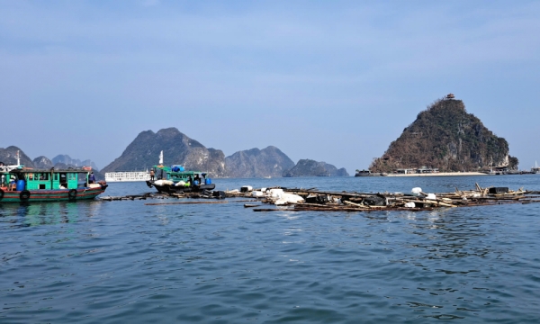 Resolver los problemas ambientales tras las tormentas en la bahía de Ha Long