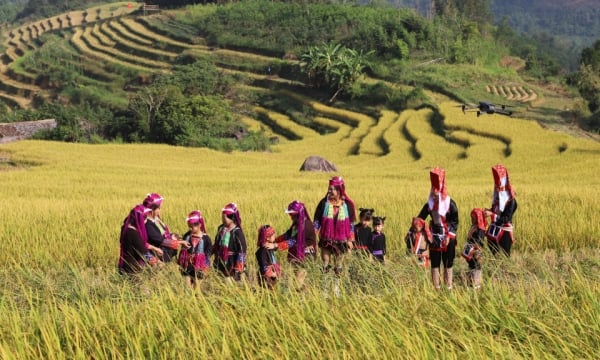 Multi-ethnic colors on terraced fields