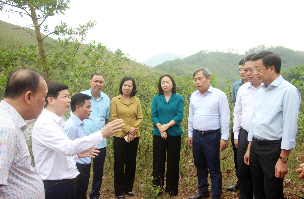 Đồng chí Vũ Đại Thắng, Ủy viên Trung ương Đảng, Bí thư Tỉnh ủy, nghe lãnh đạo huyện báo cáo về những thiệt hại do bão số 3 gây ra đối với diện tích rừng trên địa bàn huyện.