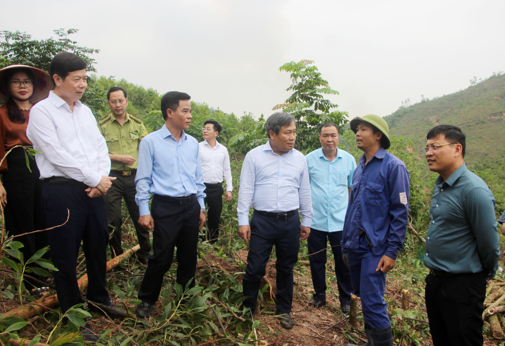 Đồng chí Vũ Đại Thắng, Ủy viên Trung ương Đảng, Bí thư Tỉnh ủy, thăm hỏi, động viên hộ gia đình có diện tích đất rừng bị thiệt hại do bão số 3.