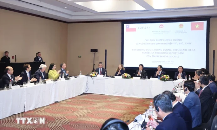 Typical Chilean enterprises highly appreciate Vietnam's development potential