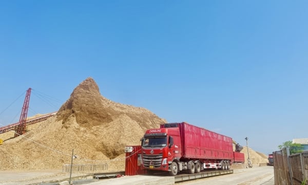 Fomentar la industria de procesamiento de la madera