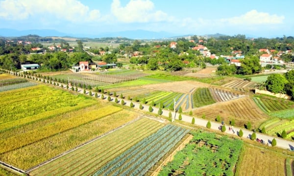 De tierra costera al mayor “granero de verduras” de la provincia