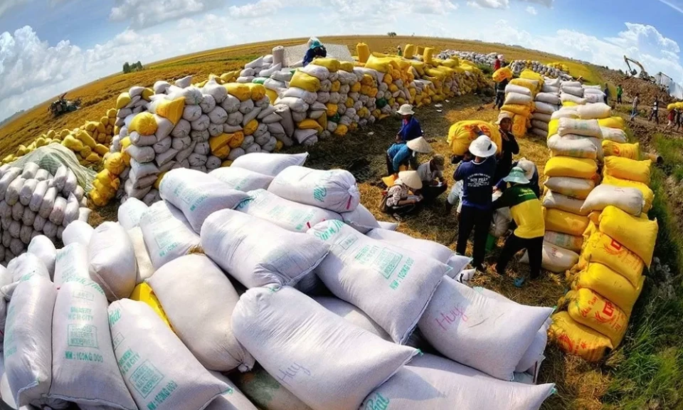 Productos agrícolas: un punto brillante en la exportación de materias primas