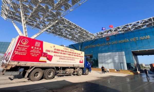 Exporting the first batch of bird's nests through the Bac Luan II Bridge - Mong Cai customs clearance