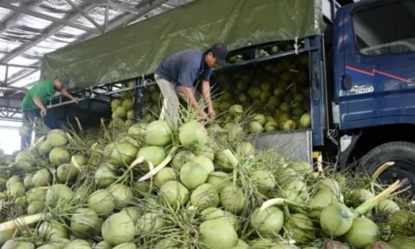 ผลไม้และผักเวียดนามบนแพลตฟอร์มอีคอมเมิร์ซจีน: มูลค่าการส่งออก 10,000 ล้านเหรียญสหรัฐฯ ไม่ไกลเกินเอื้อม