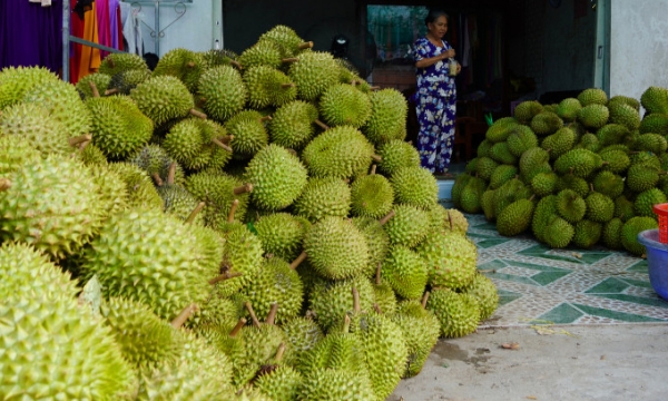 ส่งออกผลไม้และผักเกิน 6.6 พันล้านเหรียญสหรัฐฯ ใน 11 เดือน