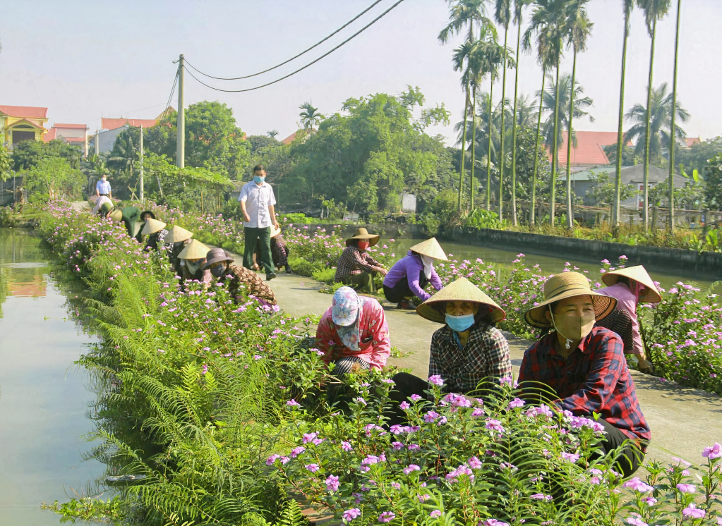 Nhân dân trên địa bàn TP Đông Triều tích cực tham gia xây dựng NTM kiểu mẫu.