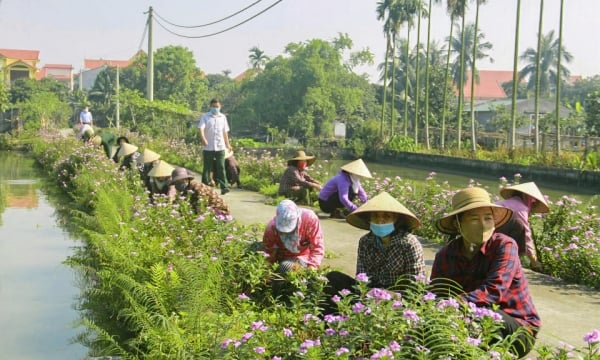 Hướng đến nông nghiệp hiện đại, nông thôn văn minh