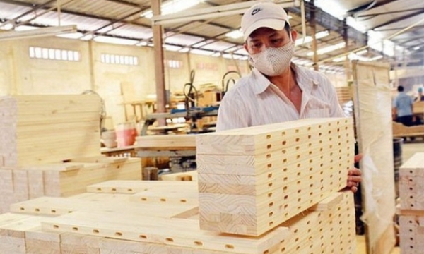 Las exportaciones de madera y productos derivados podrían superar los 16 mil millones de dólares