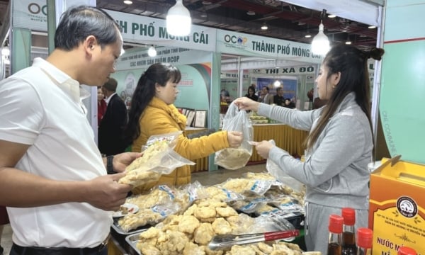 Preparándose para organizar el Festival de Comida de Quang Ninh 2024