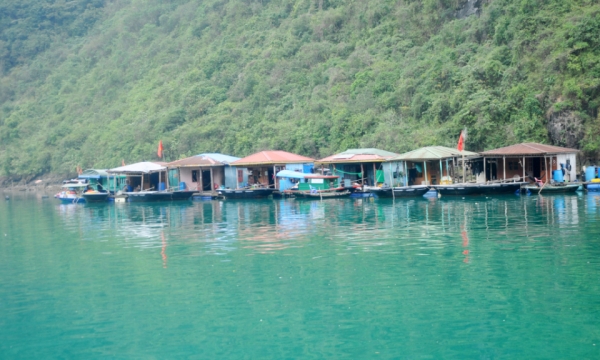 Mejora tu experiencia en la bahía de Ha Long