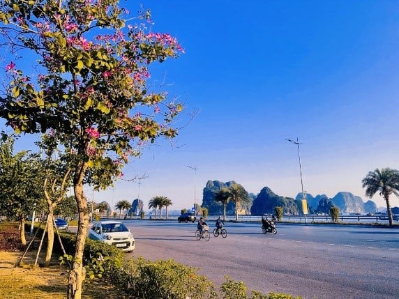 „Neuer Look“ für den Ha Long Blumenpark