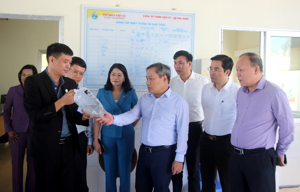 Genosse Vu Dai Thang, Mitglied des Zentralkomitees der Partei und Sekretär des Provinzparteikomitees, besuchte das Garnelensaat-Produktionsmodell der Viet Uc Quang Ninh Company Limited.