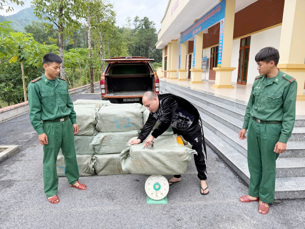 Lực lượng biên phòng tỉnh bắt giữ vụ vận chuyển 900kg nội tạng động vật không rõ nguồn gốc, xuất xứ trên tuyến biên giới Móng Cái (ngày 29/10/2024).