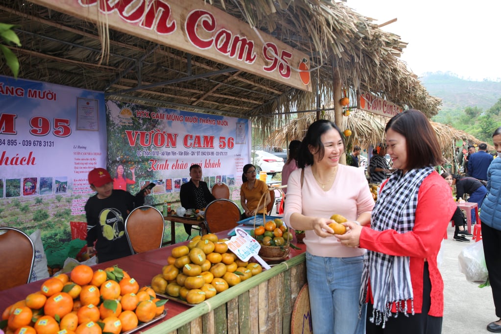 Người dân, du khách thích thú chọn mua cam của huyện Vân Đồn.