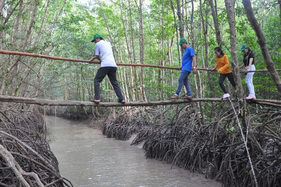 Du khách có thể khám phá rừng ngập mặn Cà Mau.