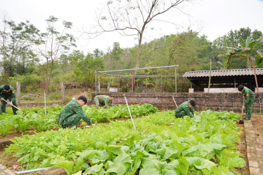 CBCS Đôn BPCKC Vạn Gia chăm sóc vườn rau xanh của đơn vị.