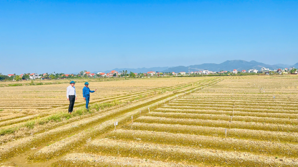 Lãnh đạo và người dân phường Bình Dương cùng chung tay phát triển nông nghiệp, nông thôn.