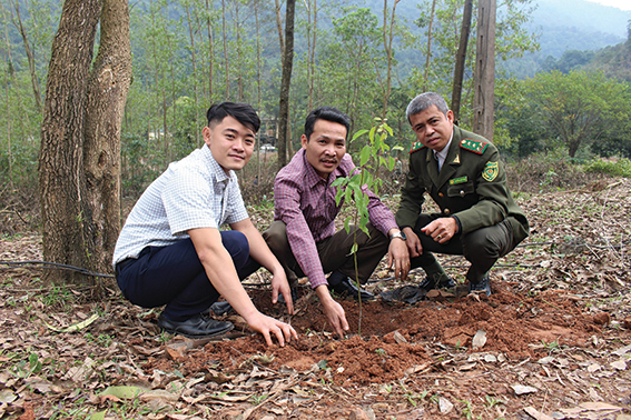 Lan tỏa phong trào trồng cây xanh trong cộng đồng