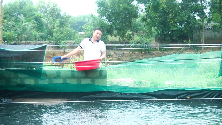 Mô hình chăn nuôi tổng hợp - giảm rủi ro, tăng lợi nhuận