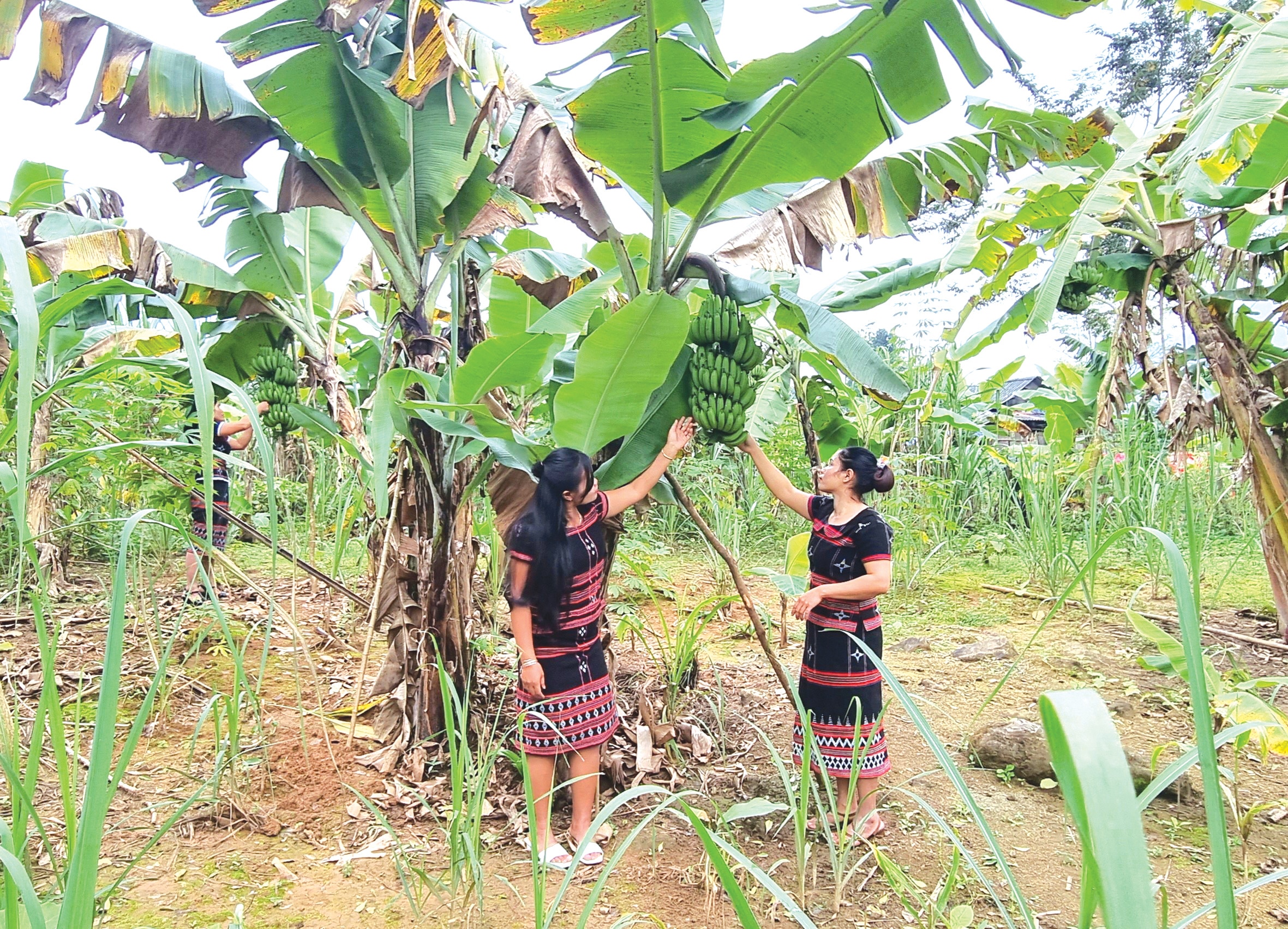 Promoting the role of women in new rural construction