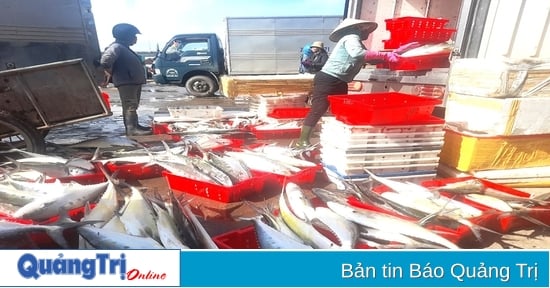 Les pêcheurs passent une bonne saison en mer pendant les jours précédant le Têt.