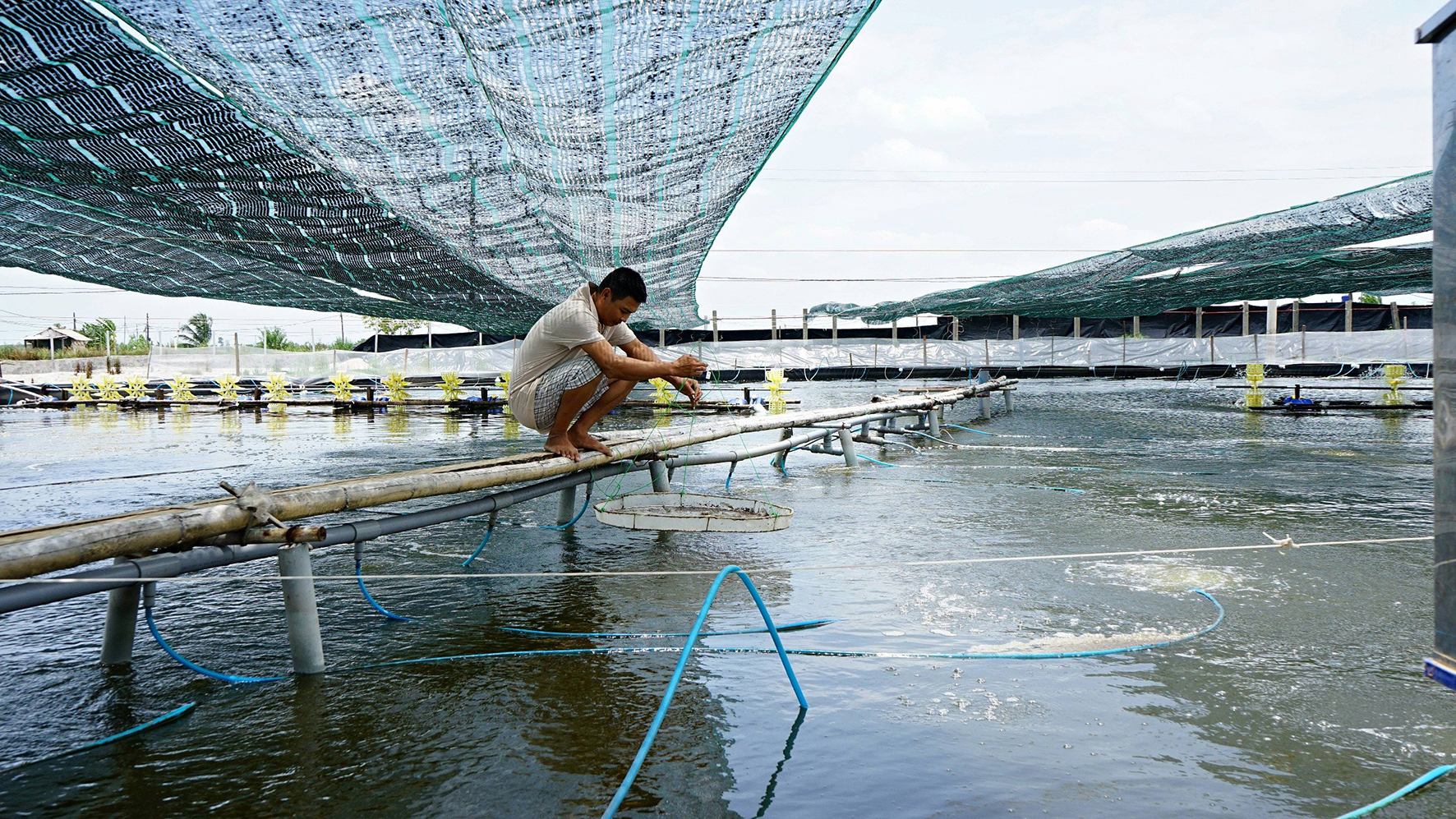 Đẩy mạnh triển khai công nghệ số vào sản xuất nông nghiệp