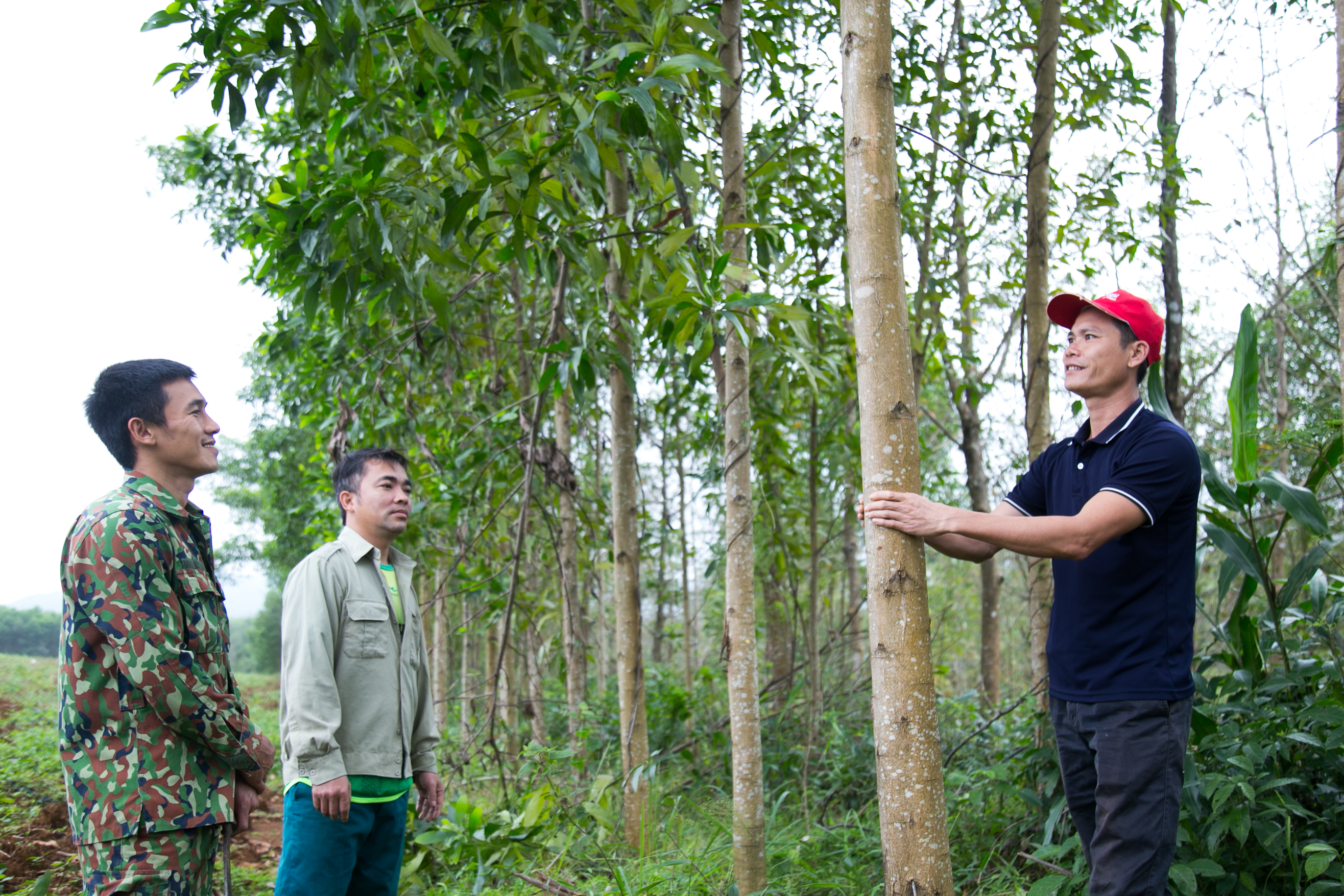 Người “trả nợ” rừng