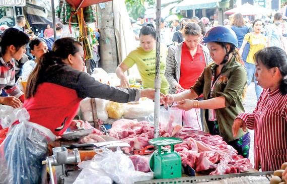 Quảng Trị đã khống chế được dịch tả lợn Châu Phi