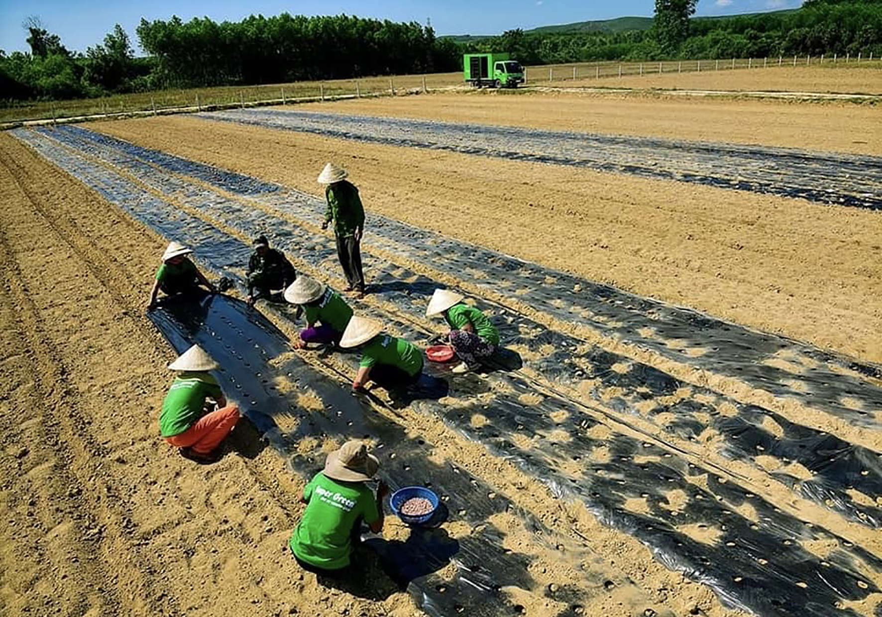 Thúc đẩy phong trào khởi nghiệp đổi mới sáng tạo