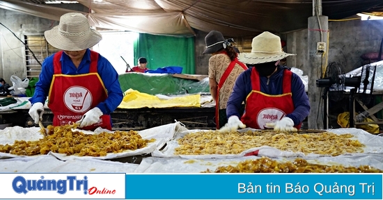 My Chanh ginger jam village bustles during Tet season