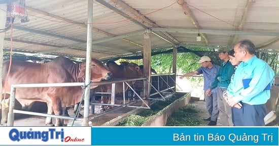 Desarrollo de modelos económicos eficaces en la agricultura y las zonas rurales de Gio Linh