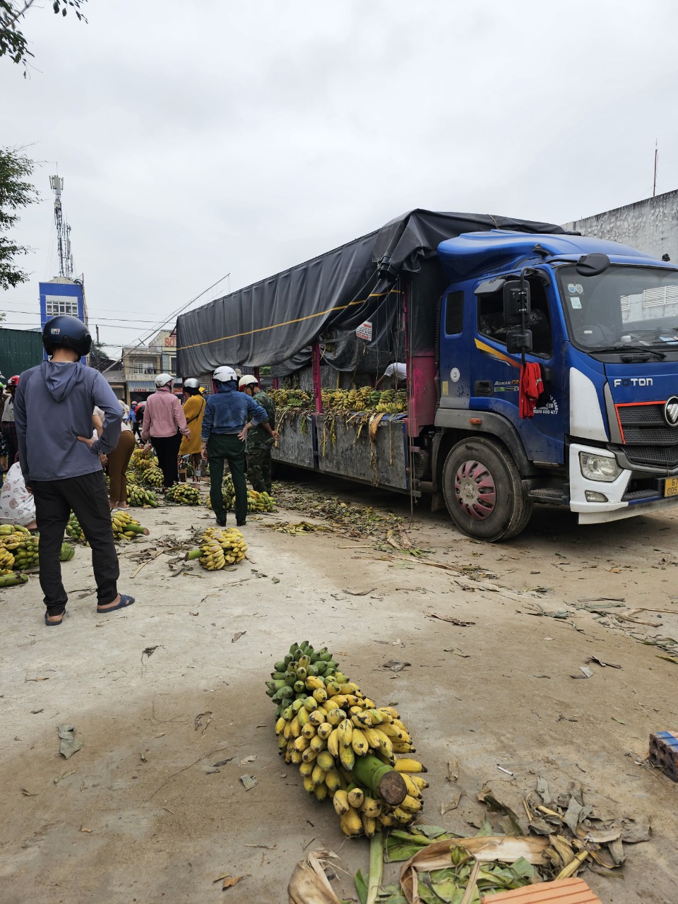 Giúp “giải cứu” chuối tết cho ba thanh niên người Đồng Nai