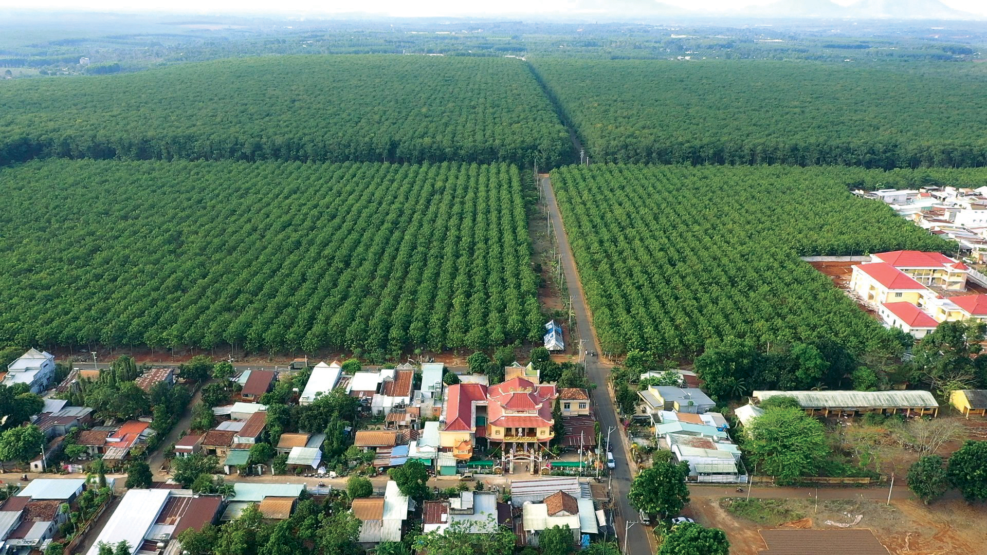 Xà Bang, Cù Bị làm theo lời Bác Ba Lê Duẩn