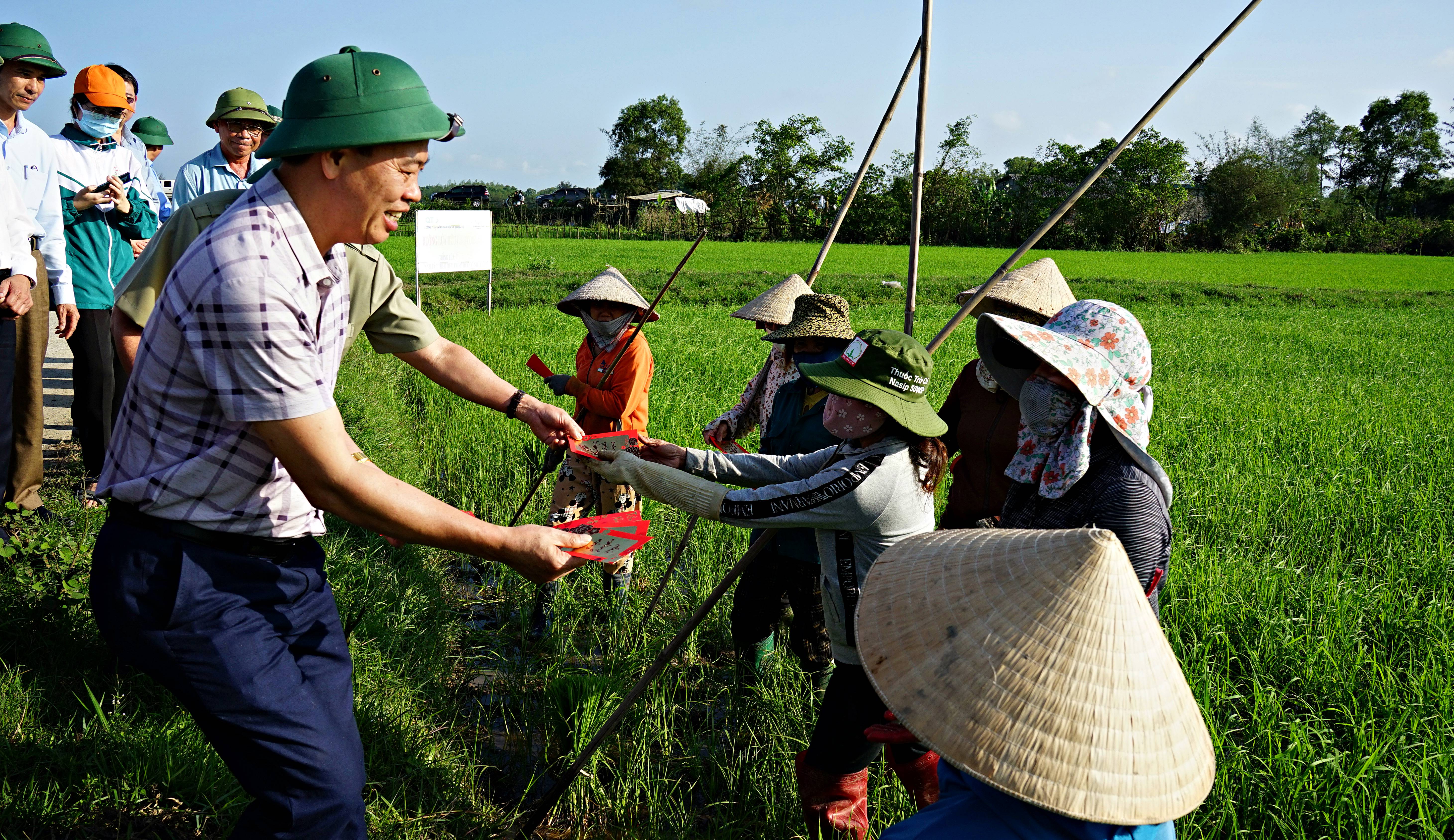 Lãnh đạo tỉnh thăm, kiểm tra các mô hình sản xuất nông nghiệp