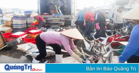 Ngư dân thu “lộc biển” đầu năm