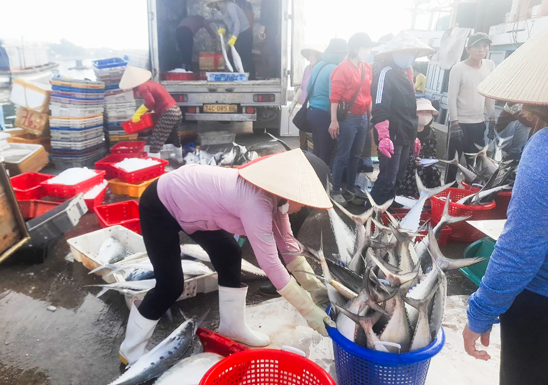 Ngư dân thu “lộc biển” đầu năm