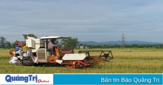 Premiers résultats dans la mise en œuvre de l'objectif « Agriculture écologique, campagne moderne, agriculteurs civilisés »