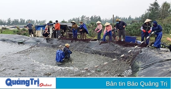 Nuôi tôm công nghệ cao