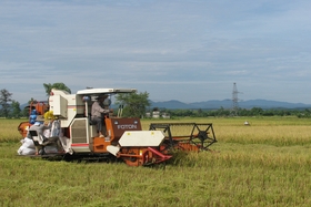 Những kết quả bước đầu trong thực hiện mục tiêu “Nông nghiệp sinh thái, nông thôn hiện đại, nông dân văn minh”