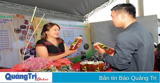 300 standard booths will participate in the Exhibition of typical rural industrial products in July 2024