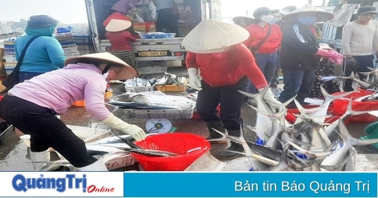 Les pêcheurs partent avec enthousiasme au large pour profiter de la saison de pêche du Sud